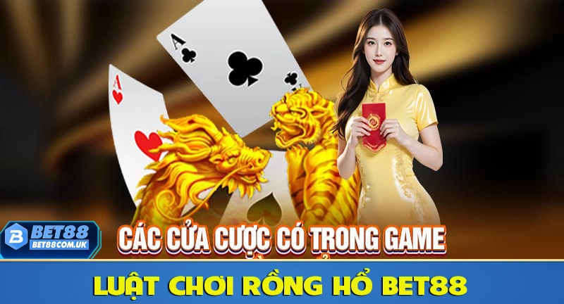 Thông tin quy định Rồng Hổ BET88
